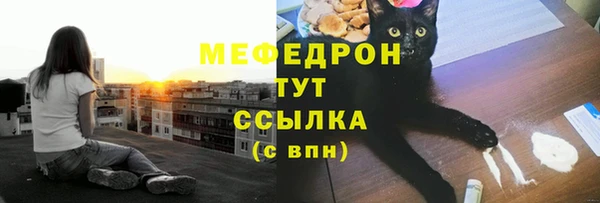 шишки Белоозёрский